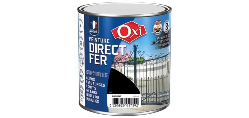 Peinture 0,5 L Mat Direct Fer - Noir RAL 9005