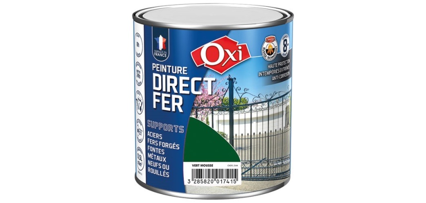 Peinture 0,5 L Brillante Direct Fer - Vert Mousse RAL 6005