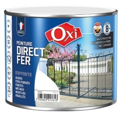 Peinture 0,25 L Brillante Direct Fer - Blanc RAL 9010