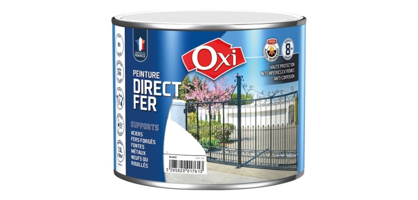 Peinture 0,25 L Brillante Direct Fer - Blanc RAL 9010