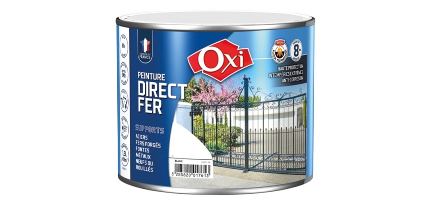 Peinture 0,25 L Brillante Direct Fer - Blanc RAL 9010