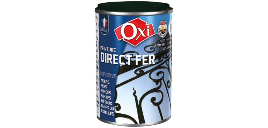 Peinture 0,25 L Brillante Direct Fer - Vert Sapin RAL 6009