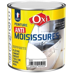 Peinture anti moisissures 0.5 L blanc satin