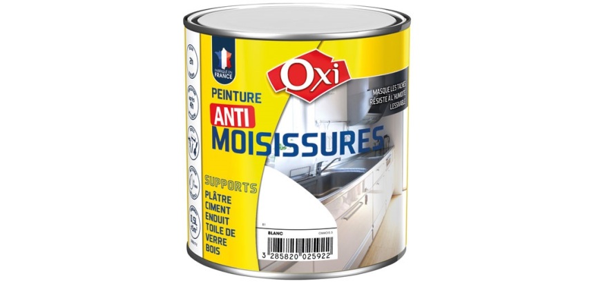 Peinture anti moisissures 0.5 L blanc satin