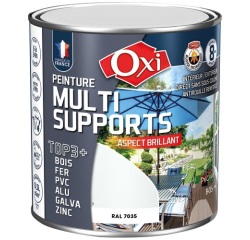 Peinture Brillante Multi-supports 0.5 L Top 3+ - Gris Clair