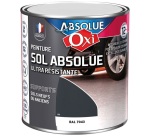 Peinture sol Veloutée 0,5 L Sol Absolue - Gris Carbone
