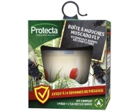 Boîte à mouches écologique avec 3 appâts