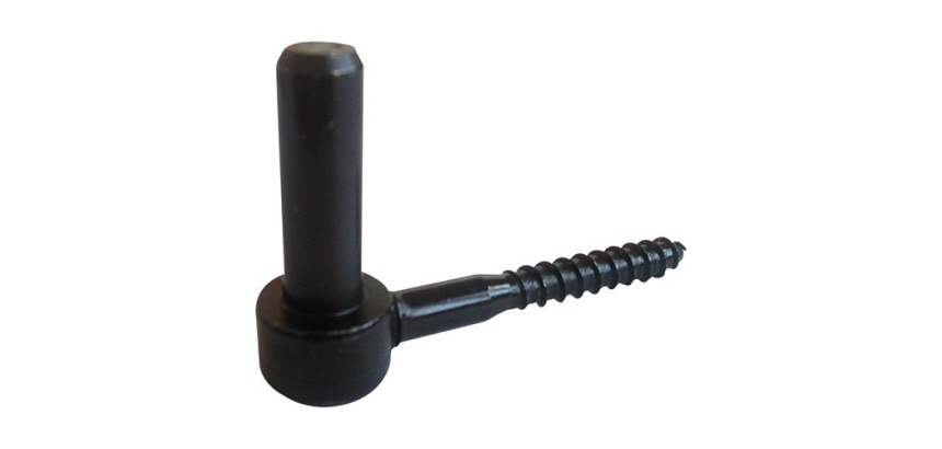 Gond à visser tirefond - D16 - L : 90 mm - d10 - noir