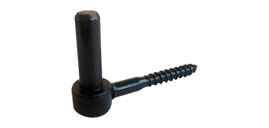 Gond à visser tirefond - D14 - L : 90 mm - d10 - noir