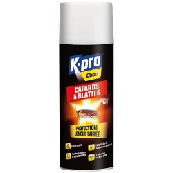 Bombe foudroyant - cafards et blattes - 400 mL