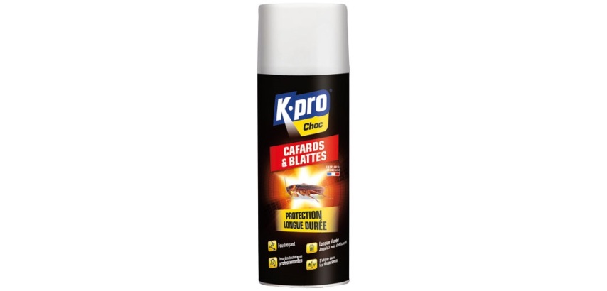 Bombe foudroyant - cafards et blattes - 400 mL