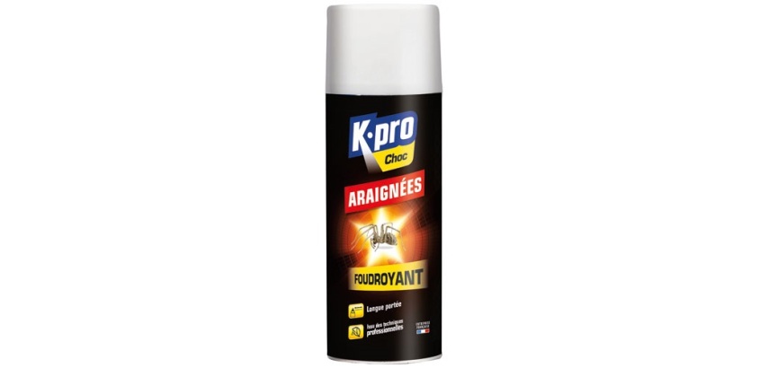 Bombe foudroyant - araignées - 400 mL