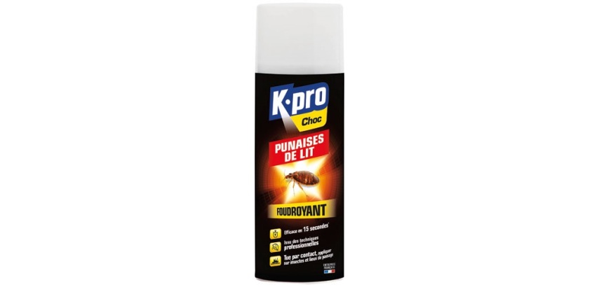 Bombe foudroyant - punaises de lit - 400 mL
