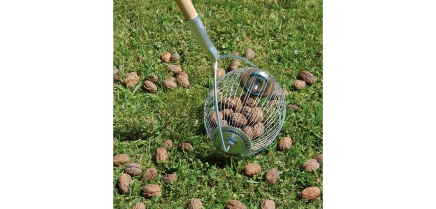 Boule ramasse-noix - à emmancher