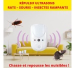Répulsif 2 en  1 -  ultrasons et veilleuse -  rats souris insectes rampants