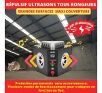Répulsif à ultrasons - tous rongeurs - 3 en 1