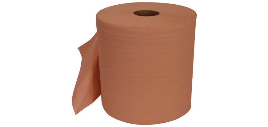 Essuie main bobine 2 plis chamois 1000 formats lot de 2