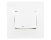 Interrupteur à voyant - Neptune - fonction témoin ou lumineuse selon le cab