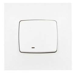 Interrupteur à voyant - Neptune - fonction témoin ou lumineuse selon le cab