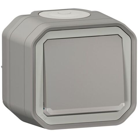 Interrupteur ou va-et-vient lumineux 10 A - Plexo - complet saillie - gris