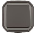Interrupteur ou va-et-vient 10 A - Plexo - complet saillie - anthracite