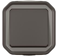 Interrupteur ou va-et-vient 10 A - Plexo - complet saillie - anthracite