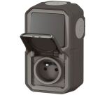 Double prise de courant 2P+T - Plexo - précâblée - complet saillie - anthra