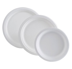 Lot de 50 assiettes rondes 23 cm