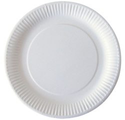 Assiette jetable carton blanc 23 cm - Lot de 50