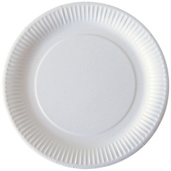 Assiette en carton Ø 23 cm blanc - Lot de 50