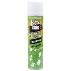 Bombe insecticide - foudroyant rampants - puissance pro - 400 mL net