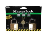 Cadenas s'entrouvrant - laiton - Lot de 2 - 40 mm