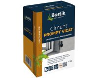 Ciment prompt Vicat - 1 Kg