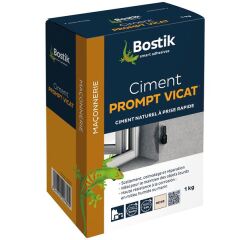 Ciment prompt Vicat - 1 Kg