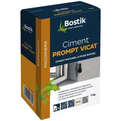 Ciment prompt Vicat - 1 Kg