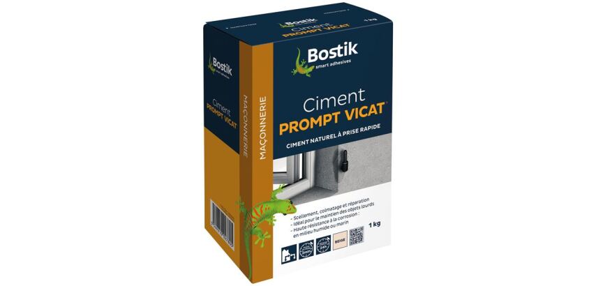 Ciment prompt Vicat - 1 Kg