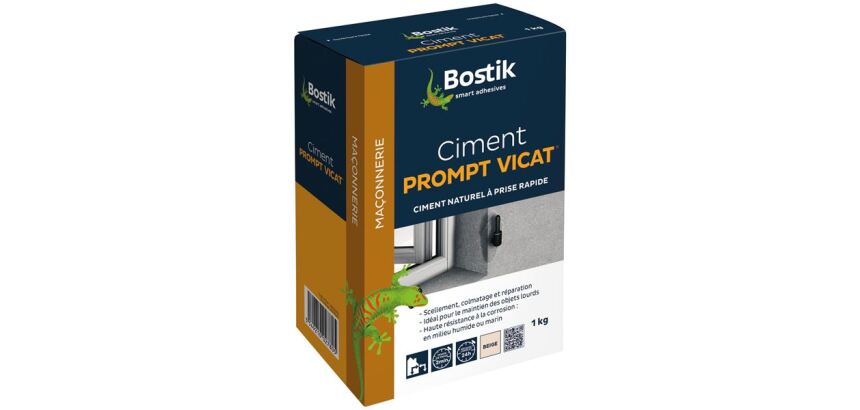 Ciment prompt Vicat - 1 Kg