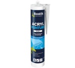 Mastic Acryl peinture cartouche 310 ml