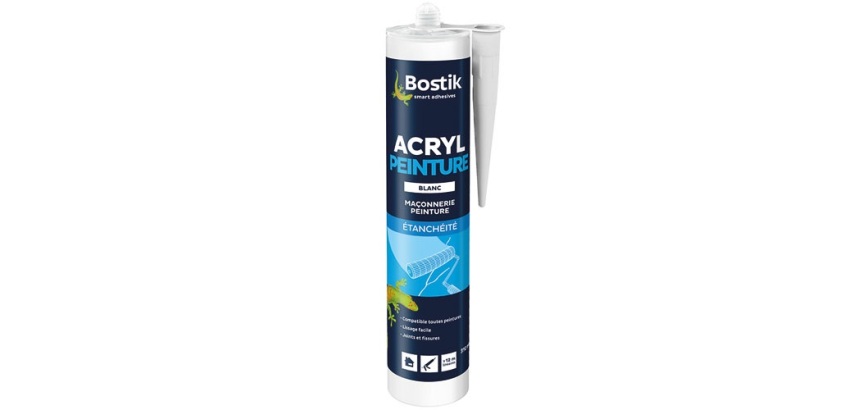 Mastic Acryl peinture cartouche 310 ml