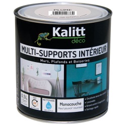 Peinture mat - multi-supports - 0.5 L - plume