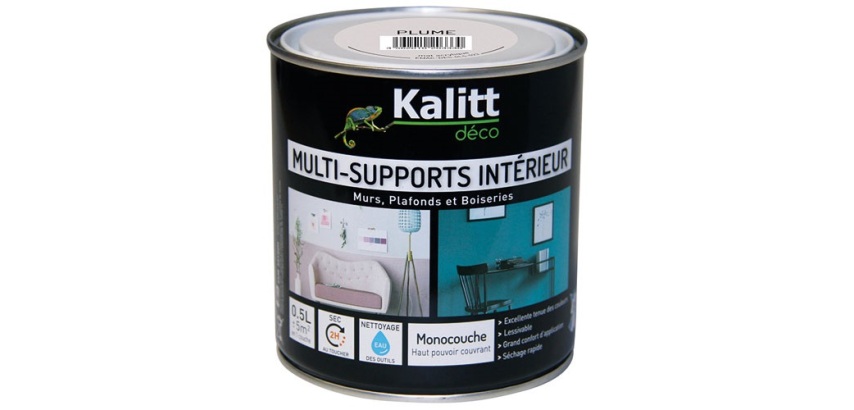 Peinture multi-supports 0,5 L Acrylique Mat - Plume