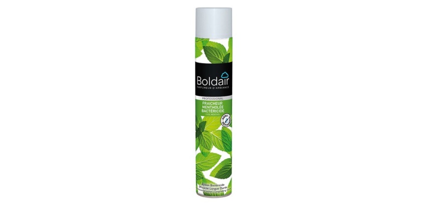 Parfumant fraîcheur mentholée - bactéricide - 500 mL