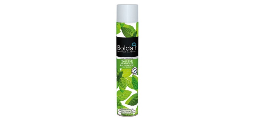 Parfumant fraîcheur mentholée - bactéricide - 500 mL