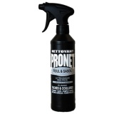 Nettoyant - fioul et gasoil - pistolet - 500 mL