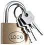 Locker lock hasp with padlock