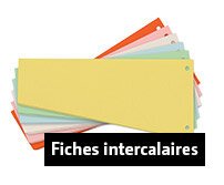 fiches intercalaires bristol