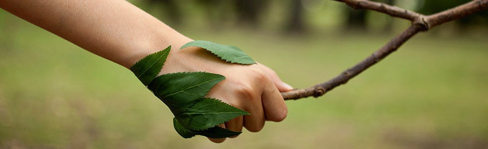 3 ecological practices to adopt in the workplace