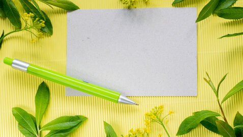 ¿Por Qué Elegir Papelería Sostenible Para tu Empresa? | Bruneau