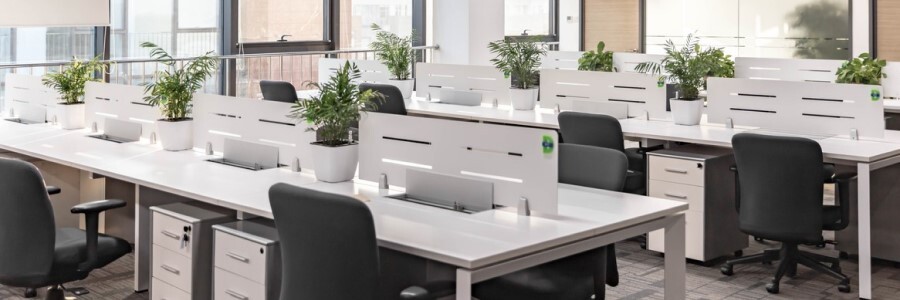 Cómo separar ambientes en la oficina