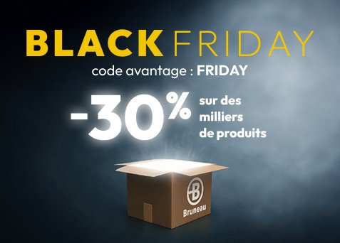 Black Friday Bruneau